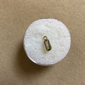 14k Yellow Gold Watermelon Tourmaline Charm